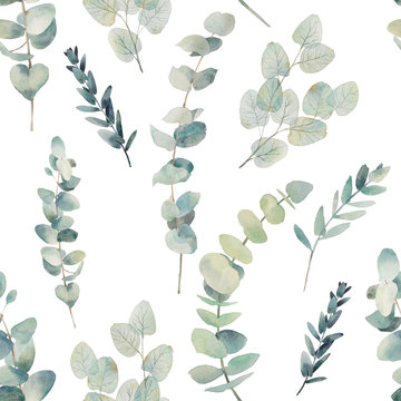 Watercolor eucalyptus branches seamless pattern. Hand painted floral texture with plant objects on white background. Natural wallpaper