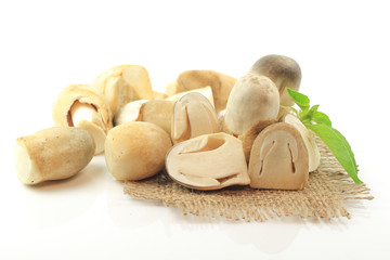 Fototapeta premium Sliced straw mushroom isolated on white background
