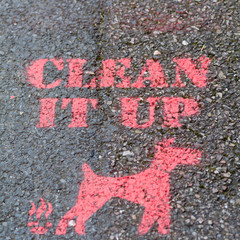 Clean it Up sign on pavement with image of dog and dog poo
