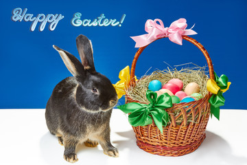 On a blue background a beautiful rabbit sits near the decorated basket