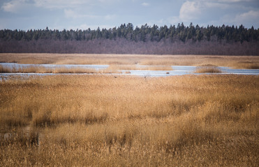A beautiful early spring landscape with a lake