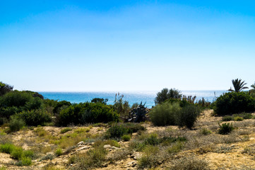 Fototapeta na wymiar Beautiful View - Conrast, Desert and Sea