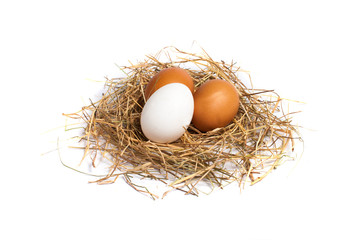 Eggs in the hay on a white background