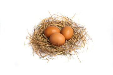 Eggs in the hay on a white background