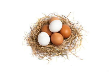 Eggs in the hay on a white background