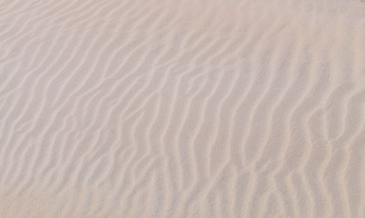 Sandy Background