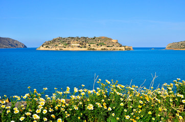 View of the island of Spinalonga with daises at foreground. Here were isolated lepers, humans with the Hansen's desease and took place the story of Victoria 's Hislop novel 