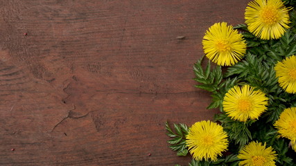 Frame for greeting with yellow flowers on a wooden background