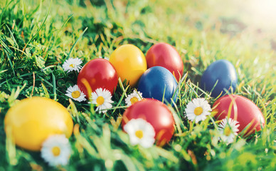 Fototapeta na wymiar Colorful Easter eggs in a grass