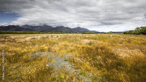 29 besten board bilder auf meadow quot typical meadow in new zealand quot stockfotos und lizenzfreie 29 besten board bilder auf meadow quot typical meadow in new zealand quot stockfotos und lizenzfreie