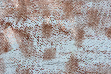 texture painting still life painting sea shell,