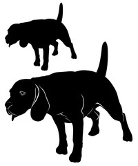 Beagle. Dog beagle. cartoon illustration of a beagle dog. Vector image of an dog beagle on white background