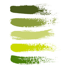 Obraz premium Set of color paint, ink brush strokes, brushes, lines.