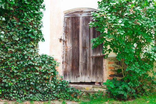 Old wooden door between two green bushes