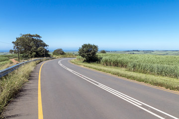 Fototapeta premium Asphalt Country Road Running Through Sugar Cane Fields