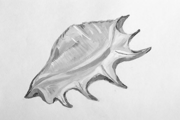Naklejka premium texture painting still life painting sea shell,