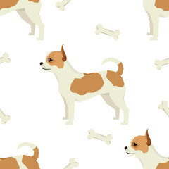 Dog collection Chihuahua Seamless pattern