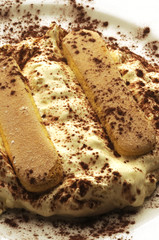 Tiramisù Тирамису ティラミス Cucina italiana Dessert al cucchiaio 티라미수 تيراميسو Tiramesù 提拉米蘇 טירמיסו Տիրամիսու Tiramisu ตีรามีซู Тирамису Italian cuisine
