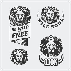 Labels, emblems and design elements for sport club with lion.
