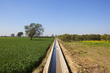 rajasthan farmland with irrigation channel