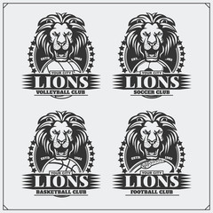 Volleyball, baseball, soccer and football logos and labels. Sport club emblems with lion.