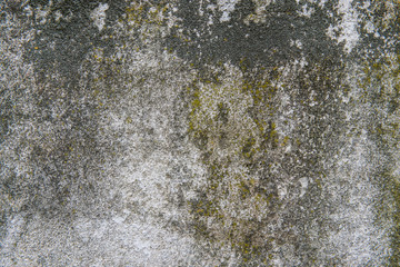 Grey and green old wall