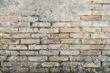 Old bricks wall