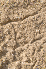 Brown old wall