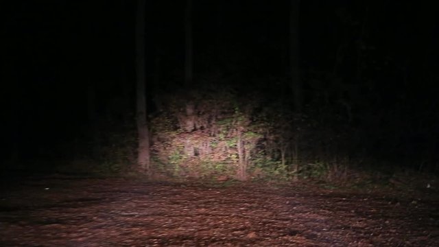 Driving on spooky dirtroad