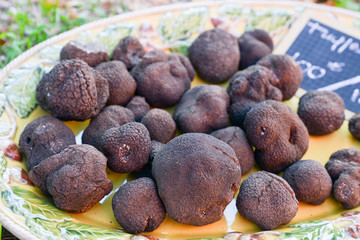 truffes