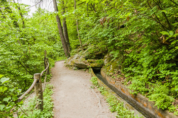 Marling, Waalweg, Marlinger Waalweg, Wanderwg, Spazierweg, Wald, Waldweg, Frühling, Vinschgau, Südtirol, Italien