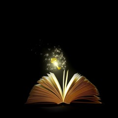 Open old Book and Key to Sccess