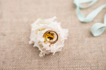 Close-up of wedding rings on white flower
