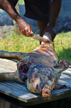 Man butchering a pork