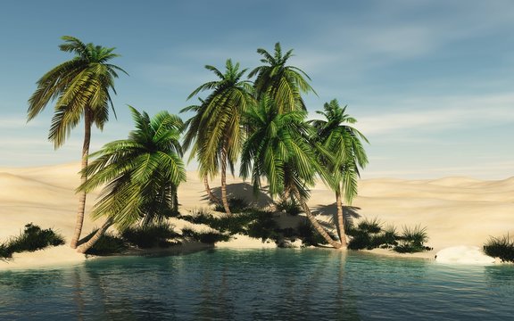 Beautiful oasis in the sandy desert, palm trees on the lake, palms in the desert
