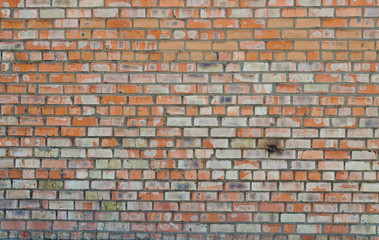 Obraz premium Brick wall background texture