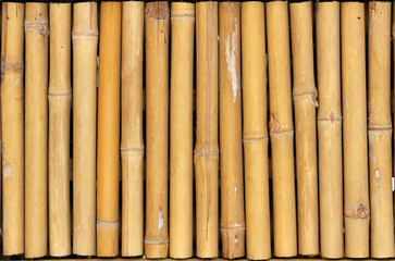 Golden bamboo fence background