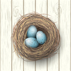 Nest with blue eggs on white wooden background, illustration