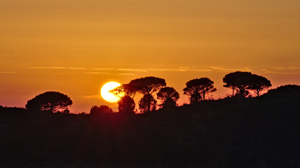 Serengeti-like sunset in Sicily
