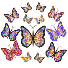 Fototapeta na wymiar Thirteen bright motley butterflies. Vector illustration.