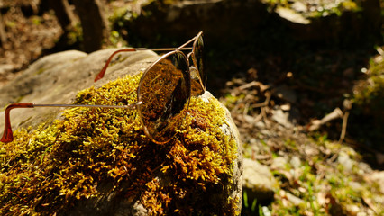 Brown sunglasses isolated on a stone in nature