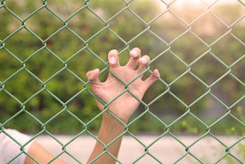 Hands touching a metal fence - obrazy, fototapety, plakaty