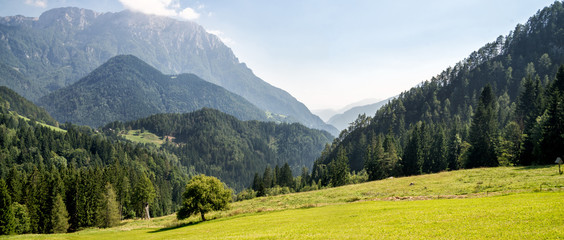 Mountain valley with green trees