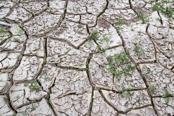 Land with dry ground. Disaster