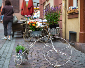 Fototapeta na wymiar bicycle&flowers
