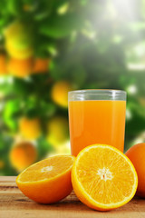 Orange juice and oranges on wooden table.
