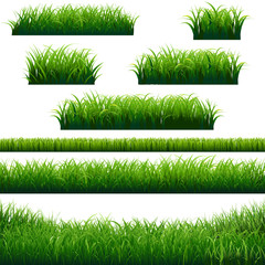 Green Grass Borders Collection
