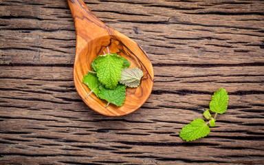 Fresh lemon balm leaves in spoon setup with flat lay on shabby wooden table. Melissa tincture in glass bottle with fresh leaves and copy space.