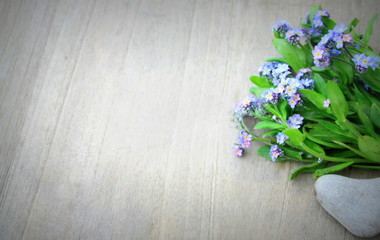 bouquet et galet de muscaris  bleus sur arrière-plan 
bois