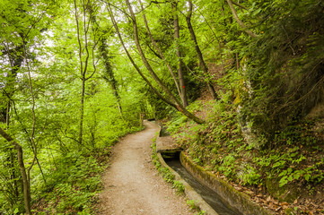 Fototapeta premium Marling, Marlinger Waalweg, Waalweg, Wanderweg, Wasserversorgung, Wald, Waldweg, Vinschgau, Frühling, Südtirol, Italien